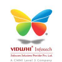 Vidushi Infotech Software Solutions Provider Pvt. Ltd. logo